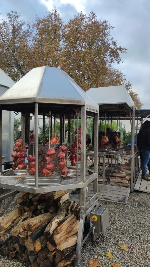 473078066 3799246927007110 8414978114431440968 n