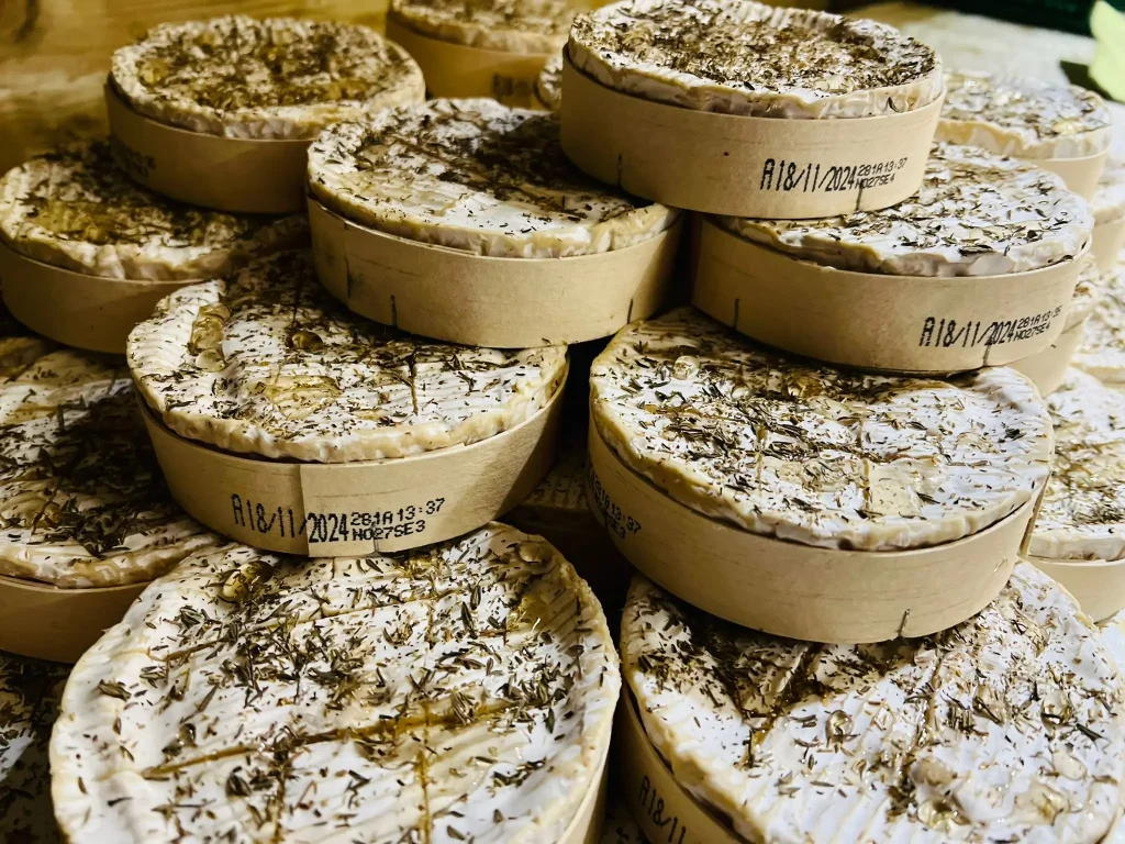 476610030 934280068687844 394732711073736128 n